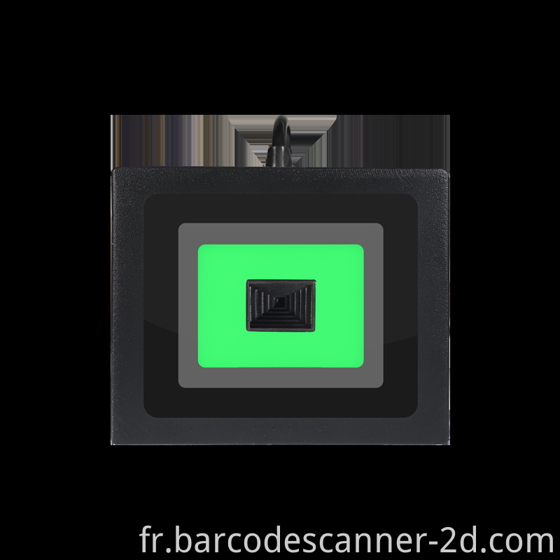  Embedded Scanner 